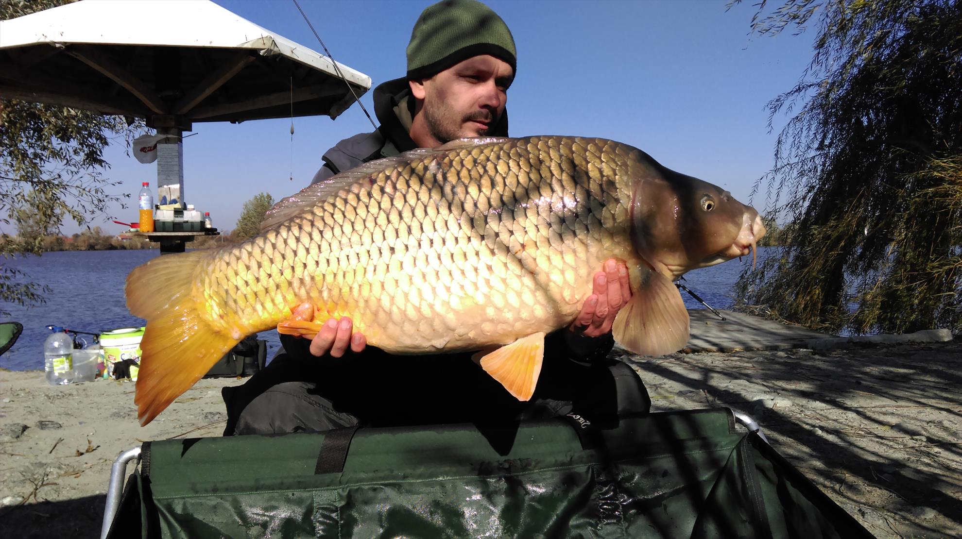 final de sezon 2015  - 16,5 kg